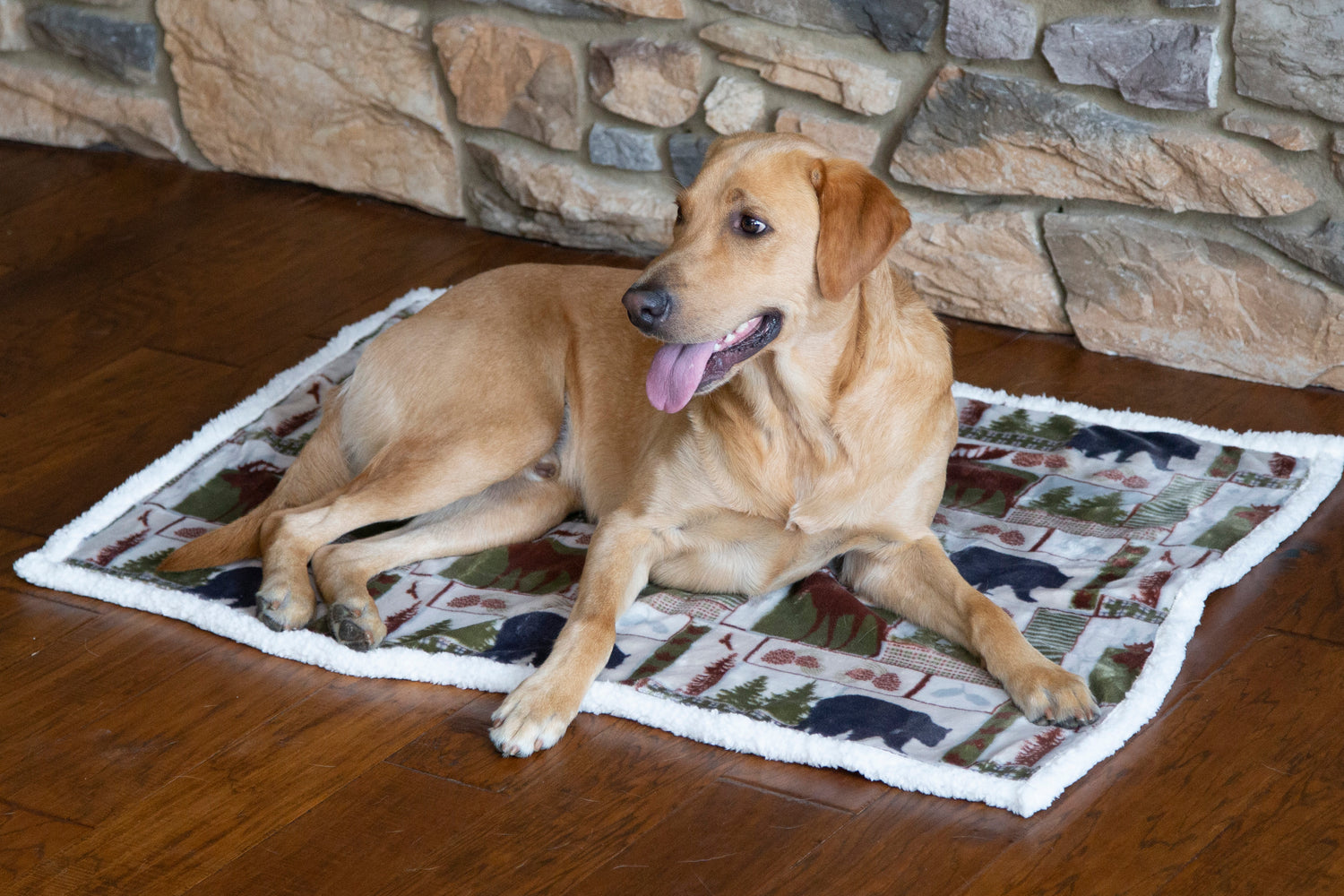 Dog Blankets