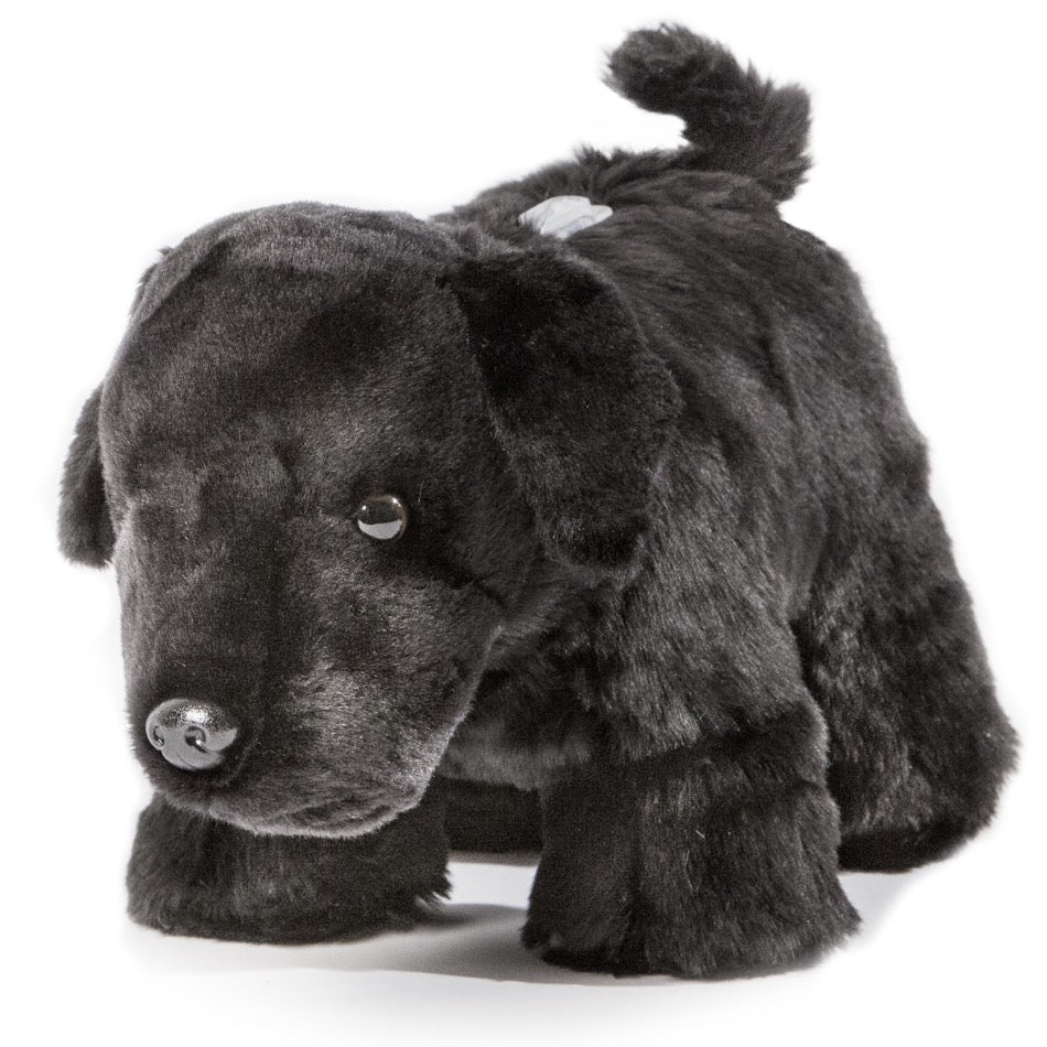 Black Lab Dog Coin Bank