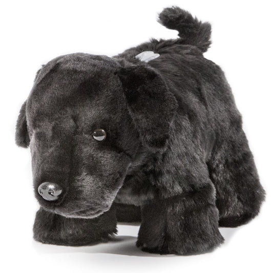 Black Lab Dog Coin Bank
