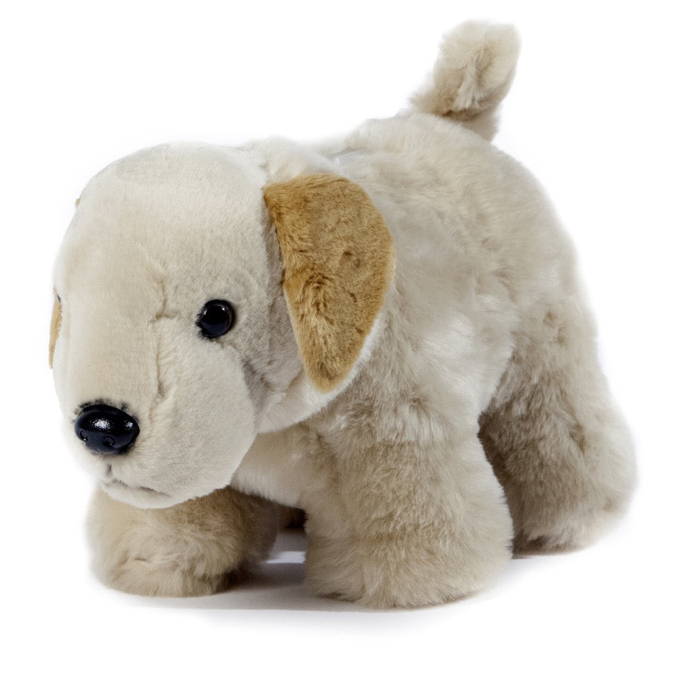 Yellow Lab Dog Coin Bank