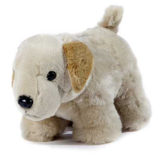 Yellow Lab Dog Coin Bank